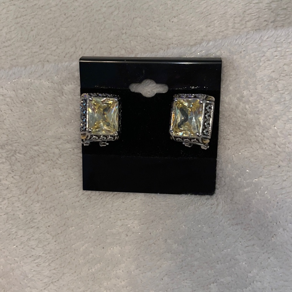 Chunky Stone Earrings